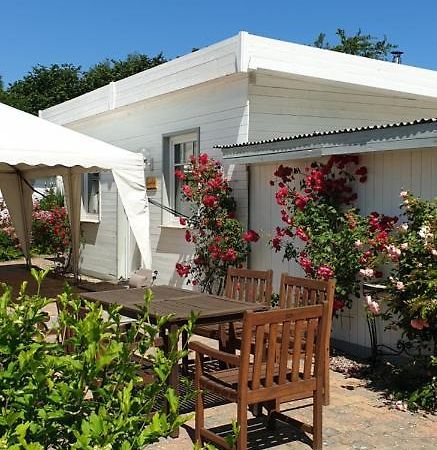 Ferienbungalow Haus Am Teich ボルテンハーゲン エクステリア 写真