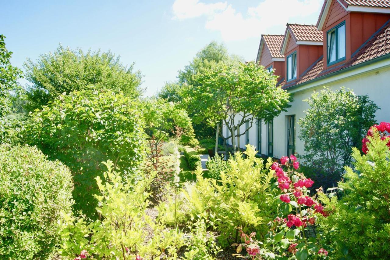 Ferienbungalow Haus Am Teich ボルテンハーゲン エクステリア 写真