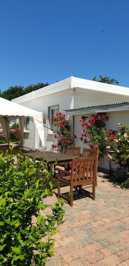 Ferienbungalow Haus Am Teich ボルテンハーゲン エクステリア 写真