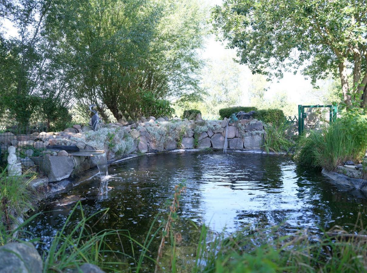 Ferienbungalow Haus Am Teich ボルテンハーゲン エクステリア 写真